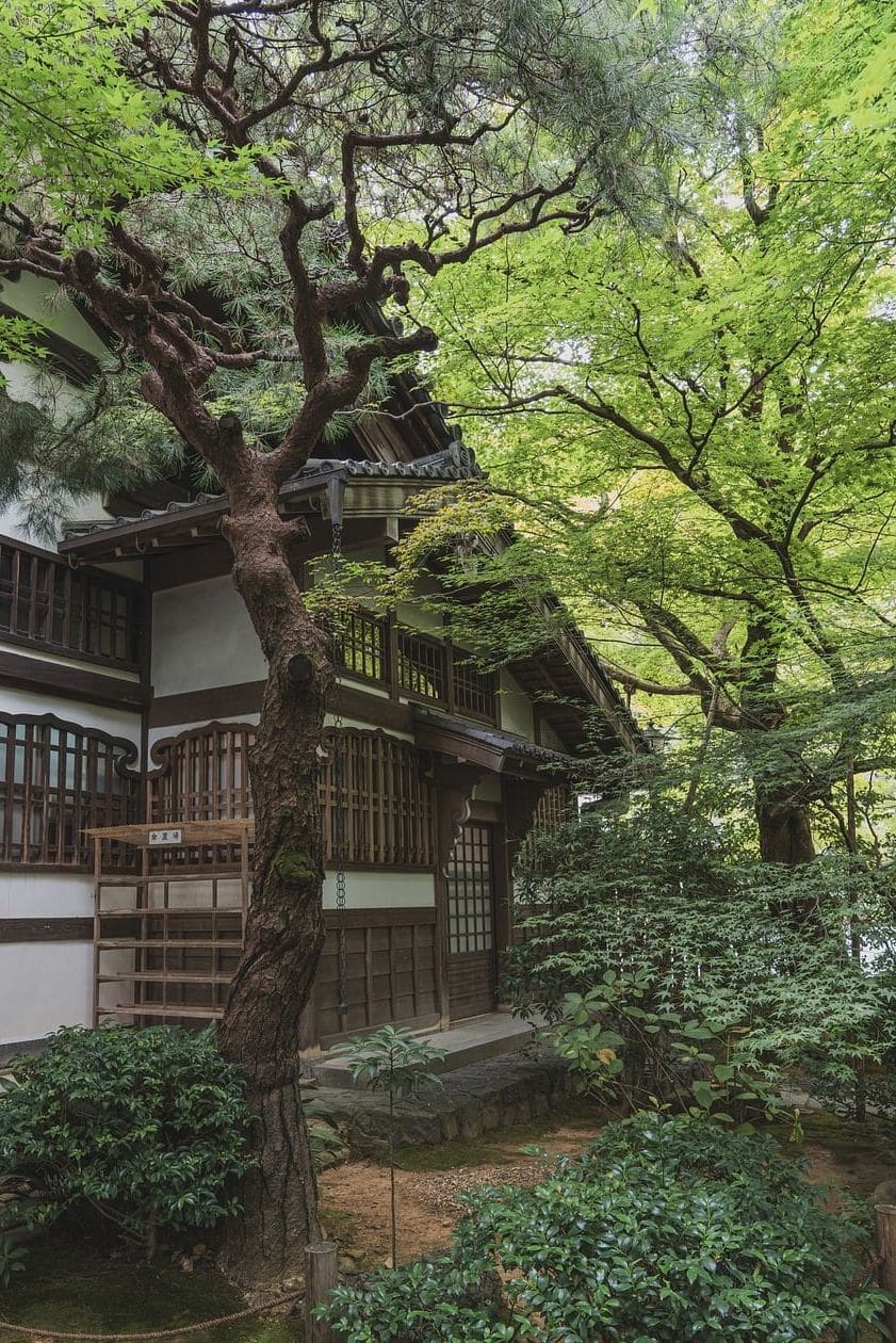 みどり庭園 15